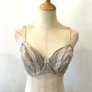 Wacoal Absolutely Fabulous Bra Underwire Beige Taupe Size 34DD (E) Lace 851143